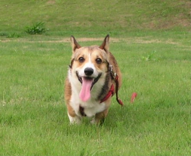 e0071225_2134524.jpg