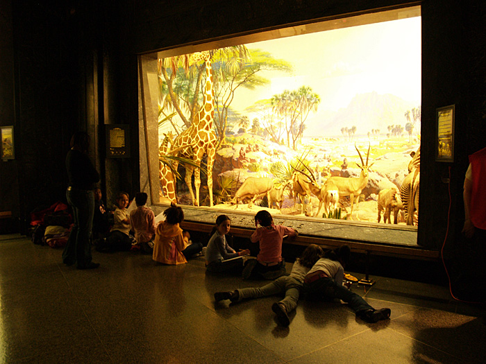 c0039630_12133394.jpg