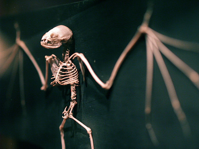 c0039630_12164154.jpg