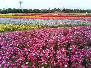 f0053734_059628.jpg
