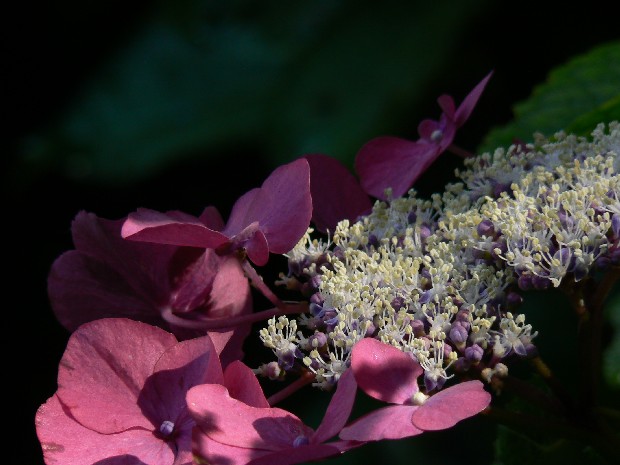 e0083238_2324914.jpg