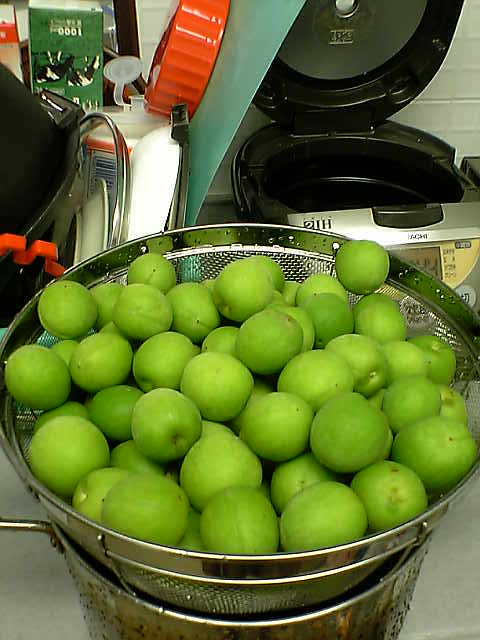 d0057441_22385050.jpg
