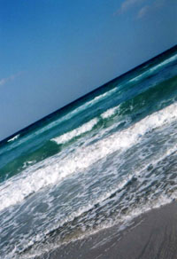 e0078342_20321075.jpg