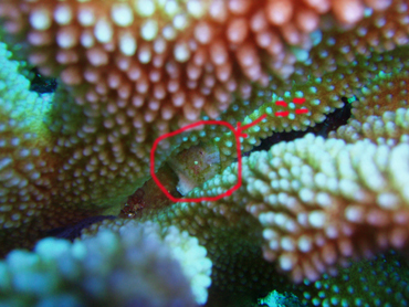 d0065247_20514135.jpg