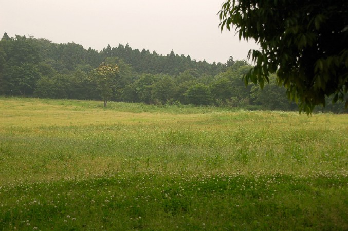 e0009147_18314298.jpg
