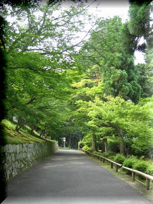 e0085147_11544643.jpg