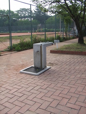 f0068649_20564127.jpg