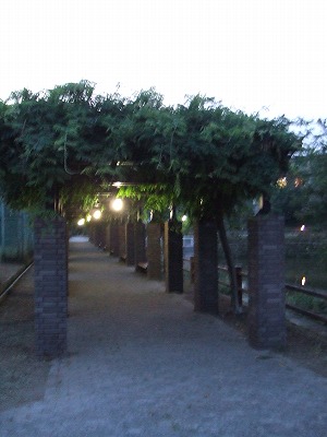 f0068649_2103342.jpg