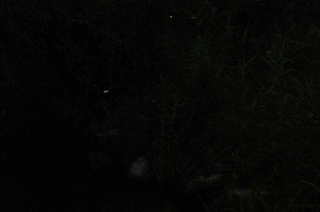 b0095350_21471799.jpg