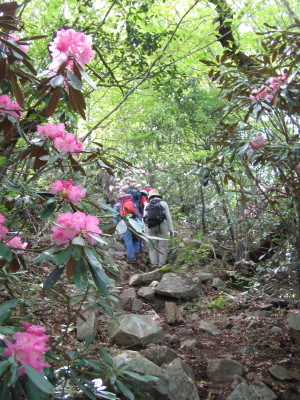 a0013751_027757.jpg