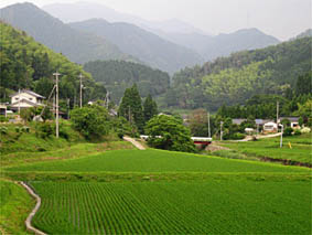 f0062055_20235378.jpg