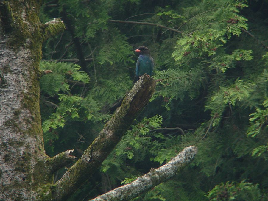 f0103860_223899.jpg