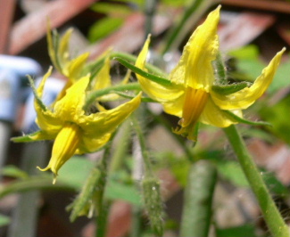 a0063364_2310523.jpg
