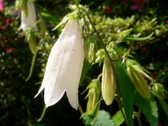 a0063364_2323172.jpg