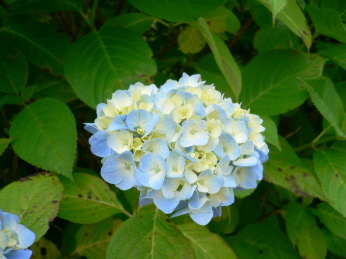 a0063364_2332399.jpg