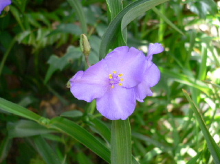 a0063364_237271.jpg