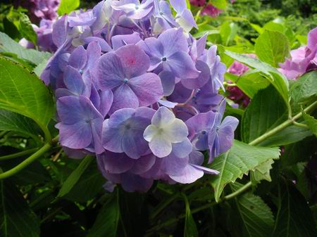 b0033169_051663.jpg