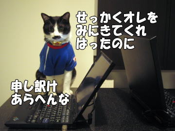 b0041182_9214489.jpg