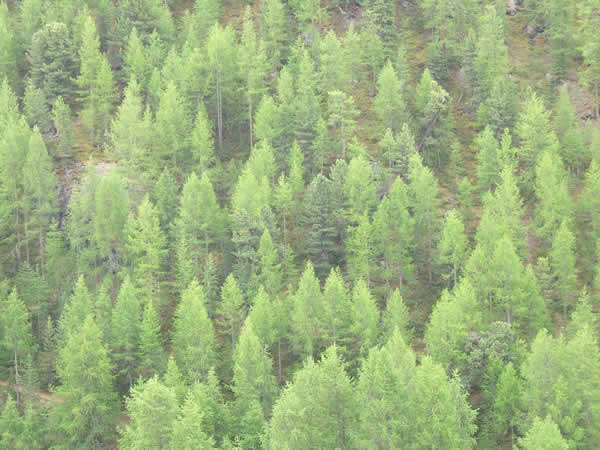 f0087787_22335090.jpg