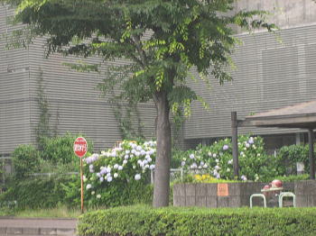 d0014690_20481165.jpg