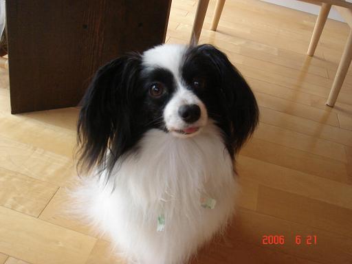 e0002891_14302671.jpg