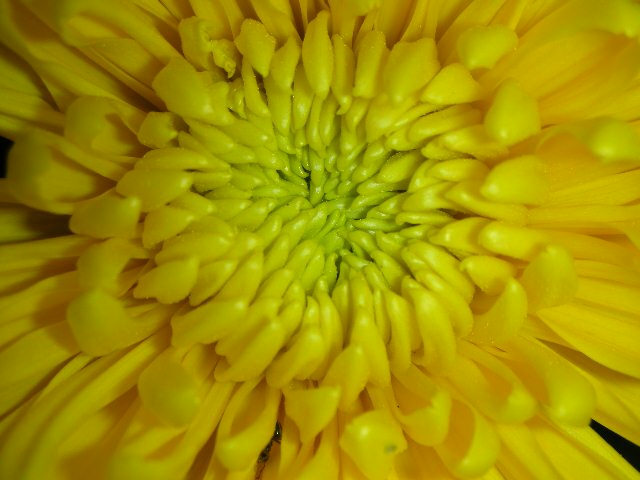 f0083400_16143448.jpg