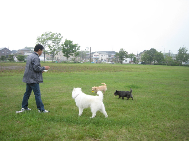 d0009101_1810252.jpg