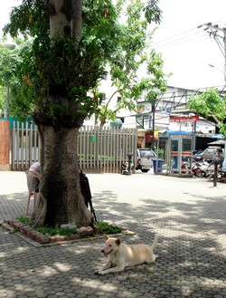 e0007801_0515050.jpg