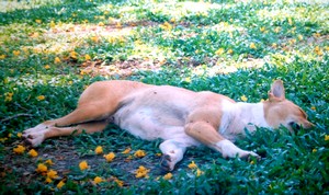 e0007801_102039.jpg