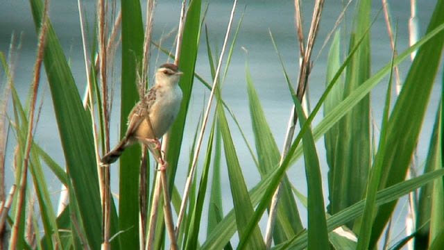 c0047906_2213066.jpg