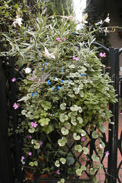 f0059818_22405996.jpg