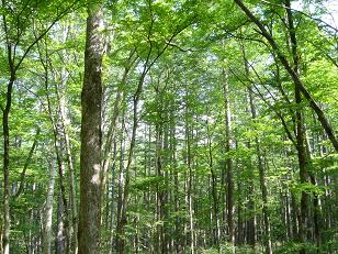 f0000521_10213727.jpg