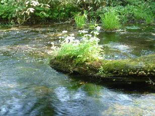 f0000521_10242718.jpg