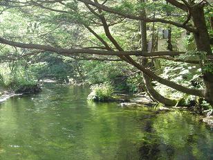 f0000521_1105131.jpg
