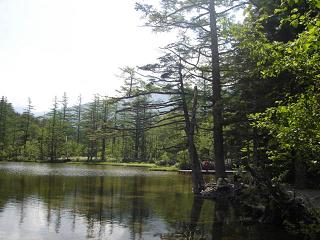 f0000521_1139312.jpg