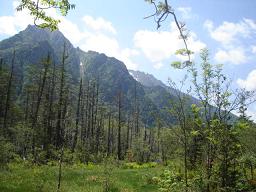 f0000521_11471677.jpg
