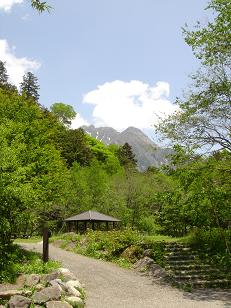 f0000521_12165570.jpg