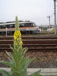 f0000521_1231472.jpg
