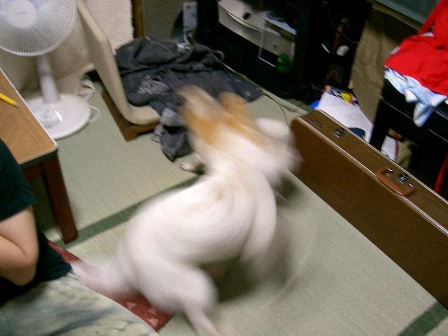a0074625_23344272.jpg