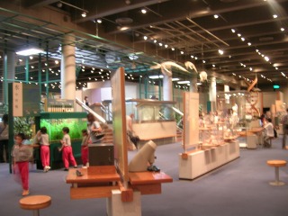 c0008439_4103463.jpg