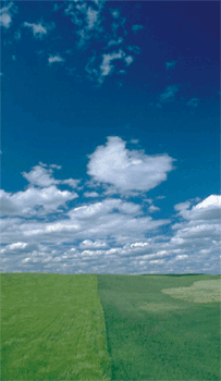 e0013640_1730328.gif