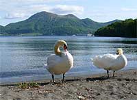 f0102245_18325099.jpg