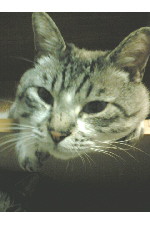 c0011446_1252553.jpg
