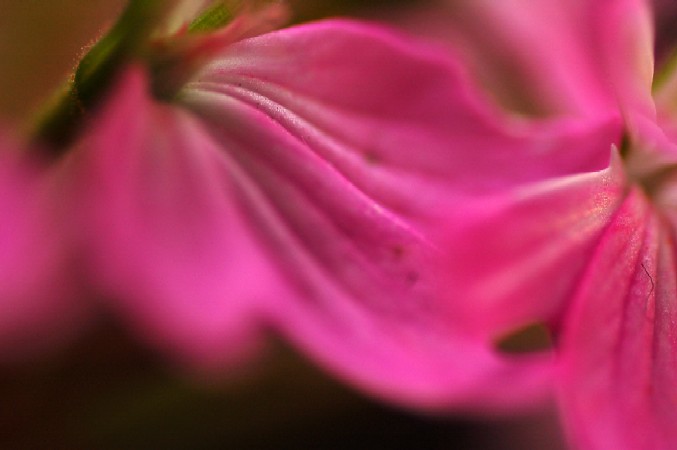 e0009147_10375271.jpg