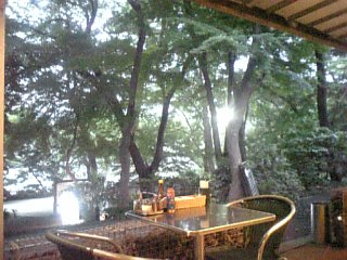 f0053847_6503972.jpg