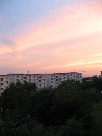 c0003752_20545932.jpg