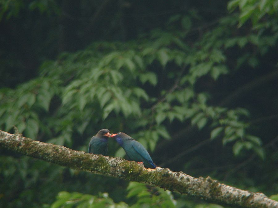 f0103860_23594158.jpg