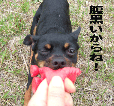 c0012571_1858291.gif