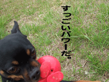 c0012571_18592341.gif