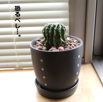 c0012571_1905432.gif